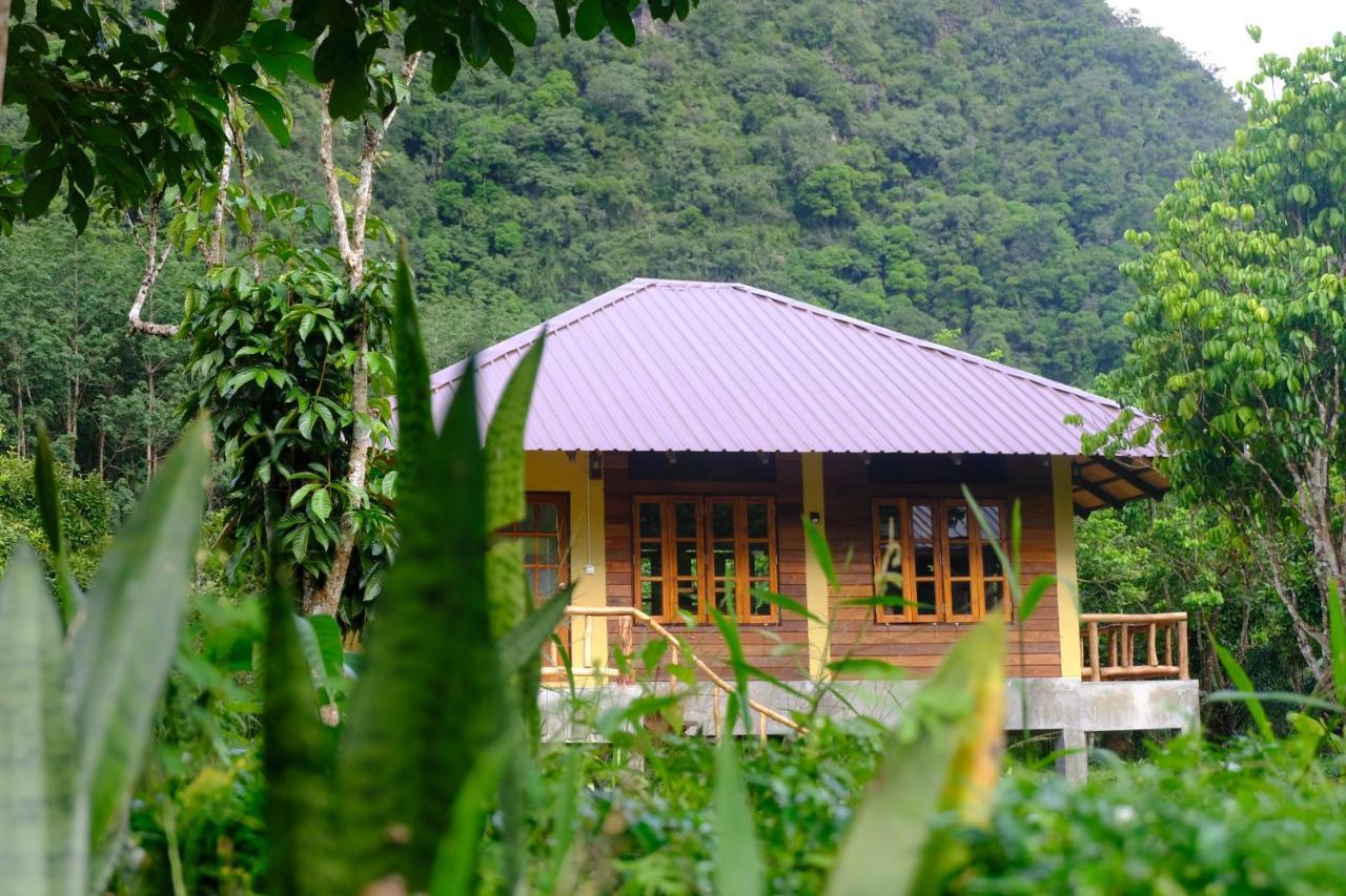 Monkey Mansion - Jungalows & Tours Khao Sok National Park Luaran gambar