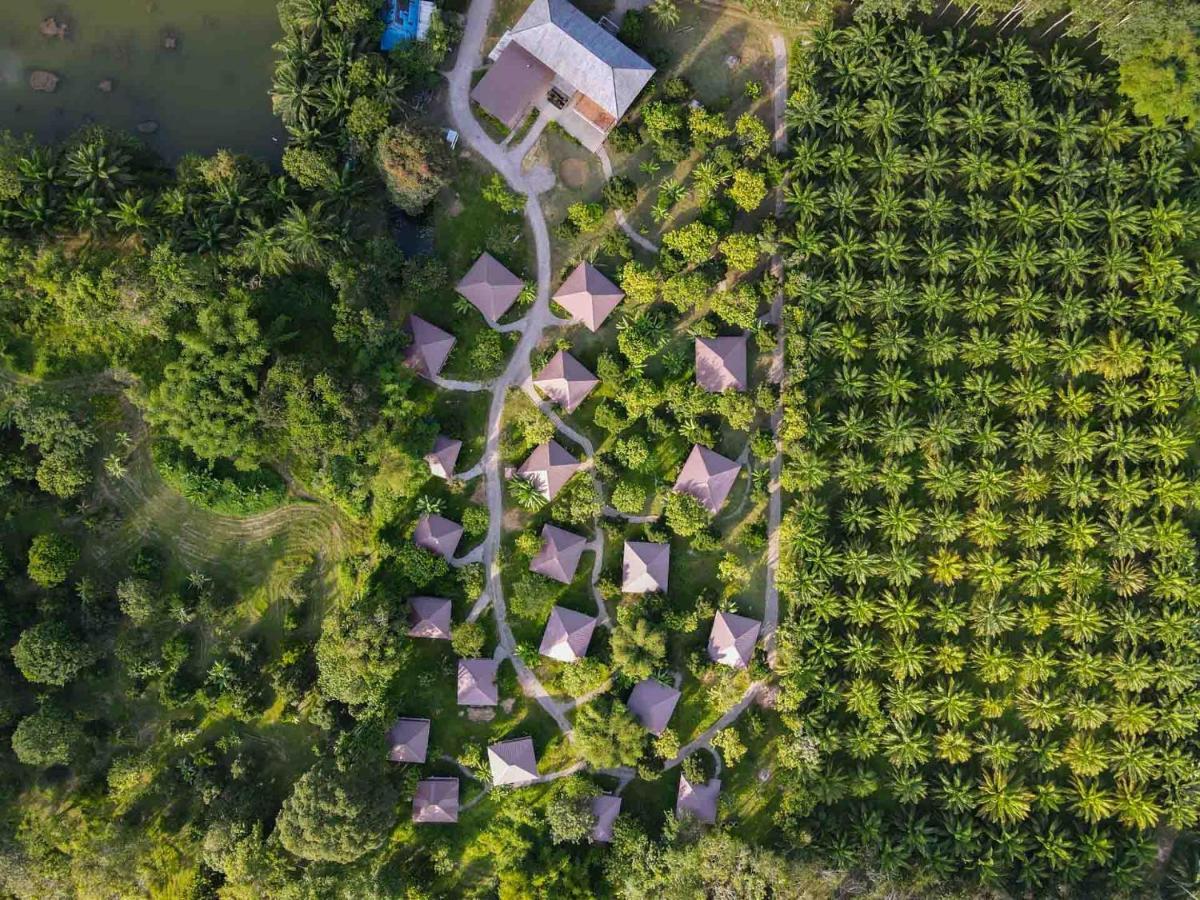 Monkey Mansion - Jungalows & Tours Khao Sok National Park Luaran gambar