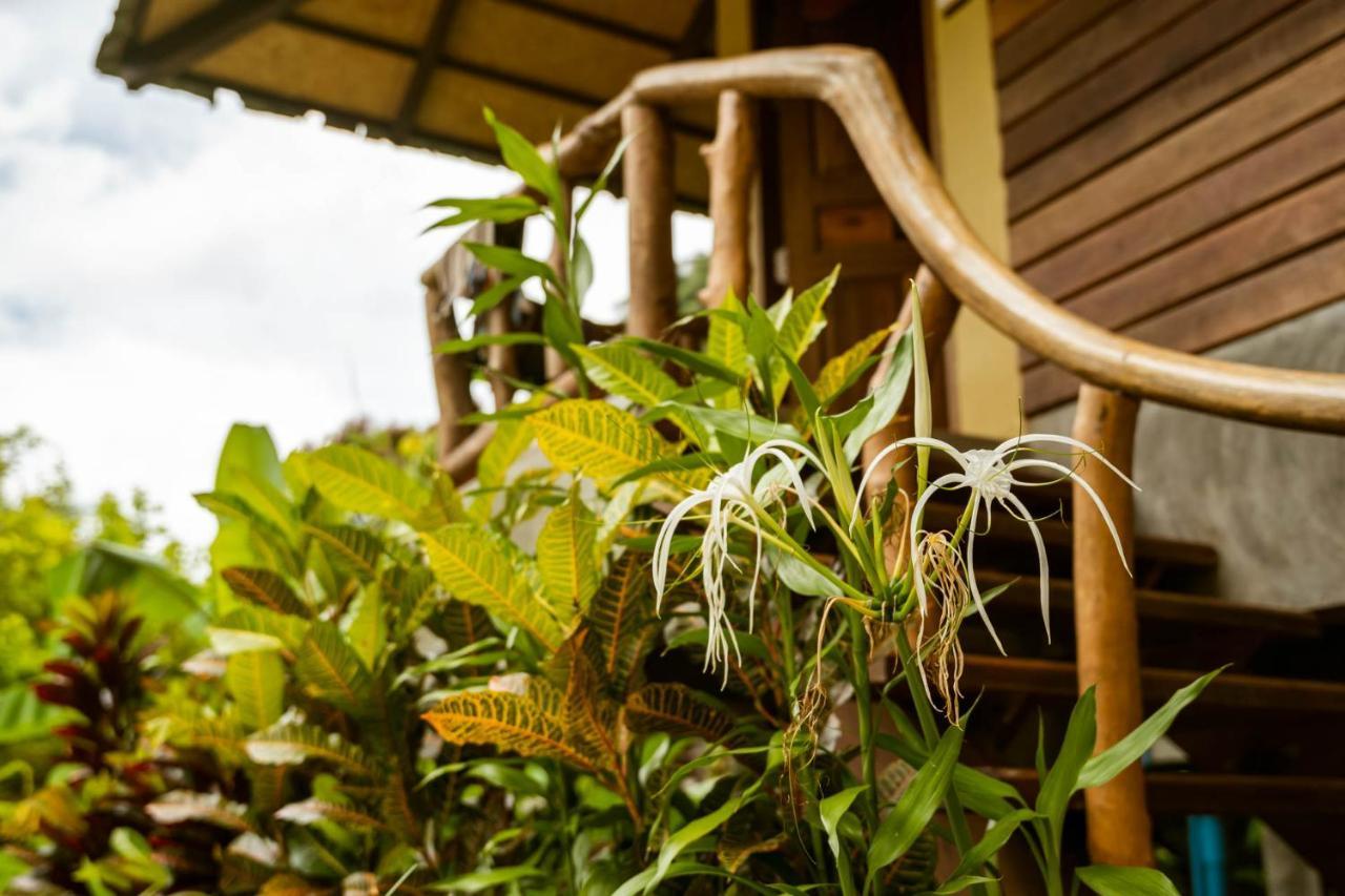 Monkey Mansion - Jungalows & Tours Khao Sok National Park Luaran gambar