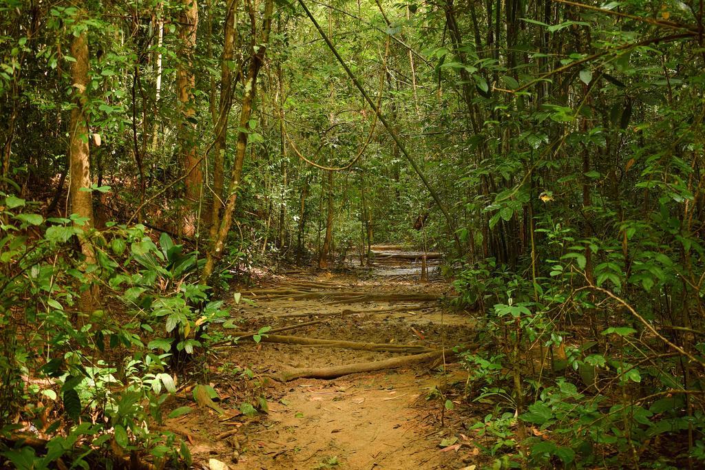 Monkey Mansion - Jungalows & Tours Khao Sok National Park Luaran gambar